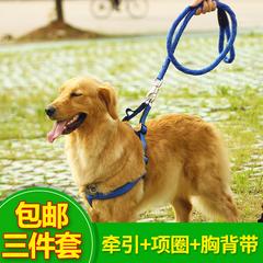 ခွေးများ Leash ပူဒယ် Golden Retriever ကွင်းကြိုး ခွေး လည်ပတ် အကြီးစားခွေး ခွေးကျောင်း ကြိုးကြီး သေတ္တာ သိုင်းကြိုး အလယ်အလတ် ခွေး ဆောင်းပါးများ