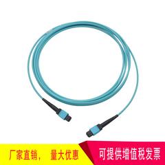 mpo mpo 12 အူတိုင် multimode Gigabit 40g MTP မီးလင်းဖိုင်ဘာမျှင် အင်ဂျင်ခန်း ပွောငျးလဲ အလင်း module Jumper 0m3 om4