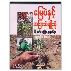 မြေပဲနှင့်အခြားပဲမျိုးစုံစိုက်ပျိုးနည်းများ စိုက်ပျိုးရေးစာအုပ်စာရေးဆရာအောင်ဝင်းထွဋ် စိတ်ကူးချိုချိုအနုပညာ 070574